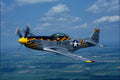 727071 P 51D Mustang  A4 Photo Print
