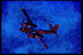 727079 Douglas B 26C _Invader_ A4 Limited Edition Watercolour Print