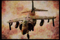 727084 Royal Navy Sea Harrier, Fighter A4 Limited Edition Watercolour Print