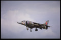 727085 Royal Air Force Harrier, Fighter A4 Photo Print