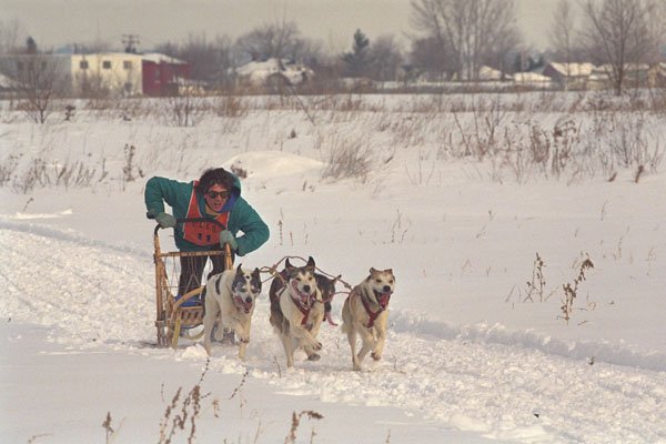 728011 Dog sled Racer, Gatineau, Quebec, Canada A4 Photo Print