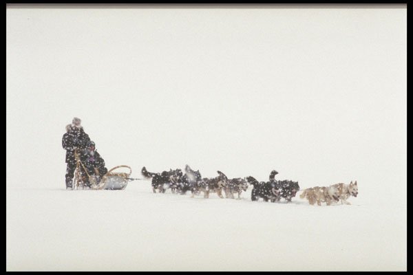 728025 Snowing Hard A4 Photo Print