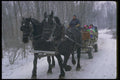 728026 Going To The Sugar Bush A4 Photo Print