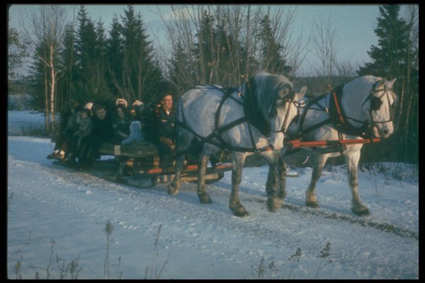 728033 Sleigh Ride, Eastern Canada A4 Photo Print