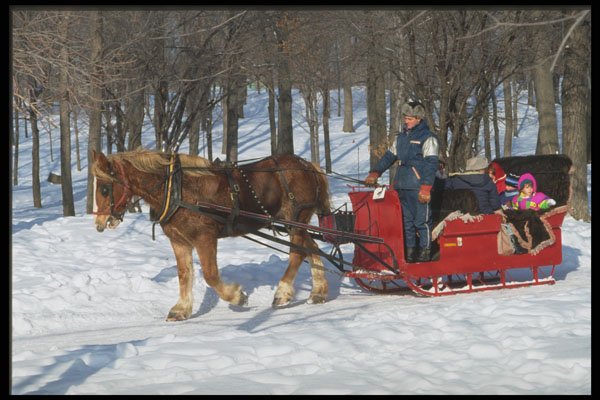 728034 Horse And Carriage A4 Photo Print