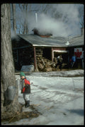 728040 Sugar Shack In Full Production A4 Photo Print