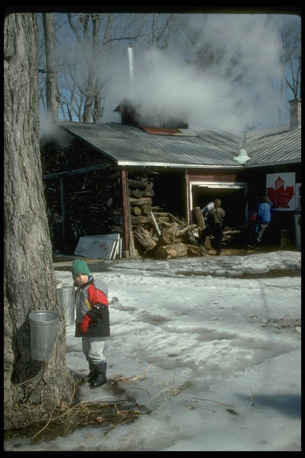 728040 Sugar Shack In Full Production A4 Photo Print