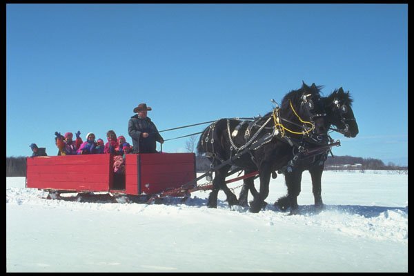 728042 Having Fun A4 Photo Print