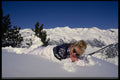 728056 Andorra, Spain A4 Photo Print
