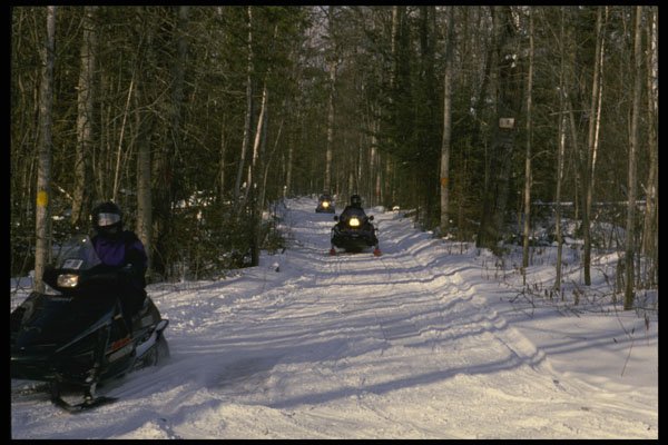 728073 Snowmobiling A4 Photo Print