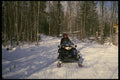 728077 Enjoying Area Trails, Ottawa, Ontario, Canada A4 Photo Print