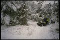 728078 Fresh Snow, Fresh Start A4 Photo Print