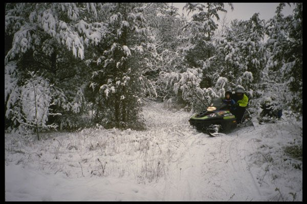 728078 Fresh Snow, Fresh Start A4 Photo Print