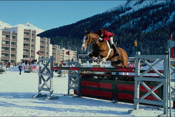728082 Show Jumping, Saint Moritz, Switzerland A4 Photo Print