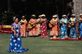 729080 Hawaiian Folk Dance A4 Photo Print