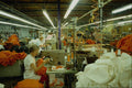 730033 Assembly Line In Garment Factory, New Glasgow, Nova Scotia, Canada A4 Photo Print