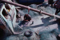 730067 Fishing Boat, Portugal A4 Photo Print