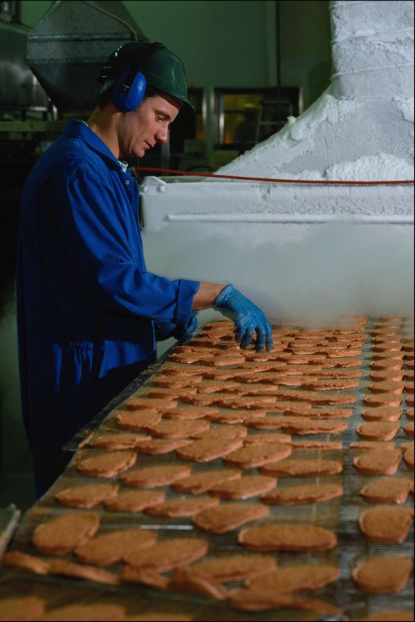 730074 Biscuits, Food Processing A4 Photo Print