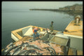 731016 Cod Being Delivered From Hand Lining, Nova Scotia A4 Photo Print