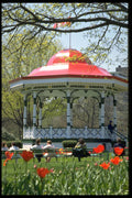 731021 Halifax Public Gardens, Nova Scotia A4 Photo Print