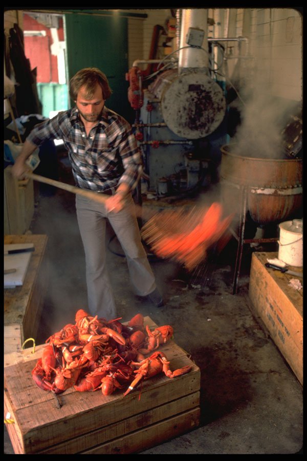 731033 Boiling Fresh Lobster At Yarmouth, Nova Scotia A4 Photo Print