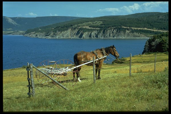 731042 Cape North On Tip Of Cabot Trail, Cape Breton, Nova Scotia A4 Photo Print