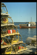 731050 Shag Harbour, Nova Scotia A4 Photo Print