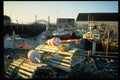 731056 Lobster Traps A4 Photo Print