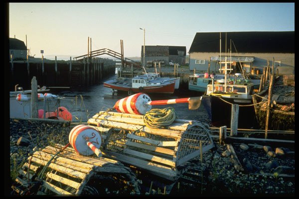 731056 Lobster Traps A4 Photo Print