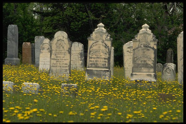 731059 Old Headstones In Graveyard, Nova Scotia A4 Photo Print