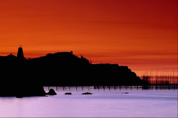 731085 Swallow tail Lighthouse From Pettes Cove, Grand Manan, New Brunswick A4 Photo Print