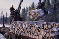 731090 Loading Pulpwood At Caribou, Nova Scotia A4 Photo Print
