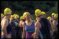 732003 Friendly Conversation A4 Photo Print