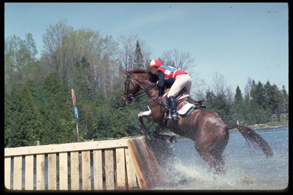 732029 Horse Jump From Water, Feversham A4 Photo Print