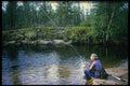 732071 Fisherman Catching River Trout In Pahajoki A4 Photo Print