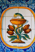 733040 Snake Motif, Pharmacy, Oropesa, Toledo, Spain A4 Photo Print
