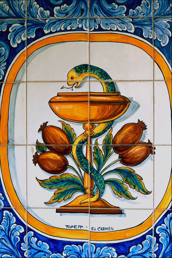 733040 Snake Motif, Pharmacy, Oropesa, Toledo, Spain A4 Photo Print