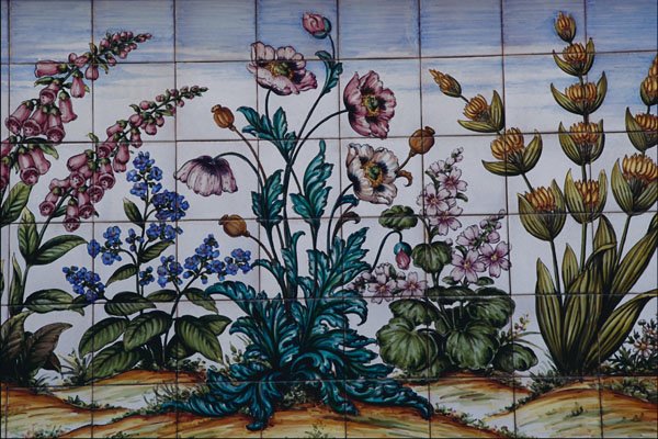 733057 Flowers In A Pharmacy, Triana, Seville, Spain A4 Photo Print