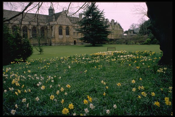 734011 Springtime In Wadham College Gardens, Oxford, Great Britain A4 Photo Print