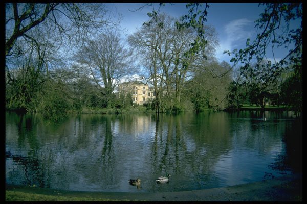 734012 Worchester Is The Only College With Its Own Lake, Oxford, Great Britain A4 Photo Print