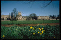 734014 Corpus Christi And Merton Colleges, Seen From The Board Walk A4 Photo Print