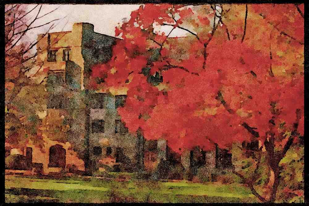 734027 College Of New Rochelle, New York, U.S.A. A4 Limited Edition Watercolour Print