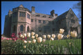 734029 Fairfield University, Fairfield, Connecticut, U.S.A. A4 Photo Print