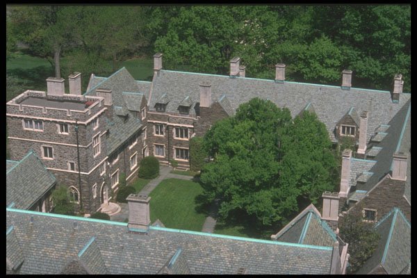 734044 Princeton University, Princeton, New Jersey, U.S.A. A4 Photo Print
