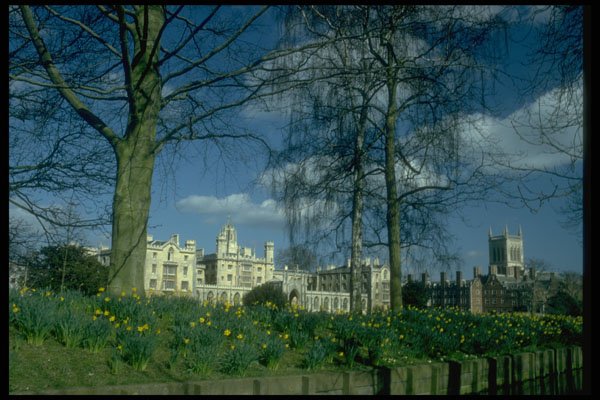 734054 St. John's College In Spring, Cambridge, United Kingdom A4 Photo Print