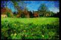 734057 The Paddock In Spring, Emmanuel College, Cambridge, United Kingdom A4 Limited Edition Watercolour Print