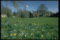 734057 The Paddock In Spring, Emmanuel College, Cambridge, United Kingdom A4 Photo Print