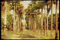 734063 Codnngton College, Barbados A4 Limited Edition Watercolour Print
