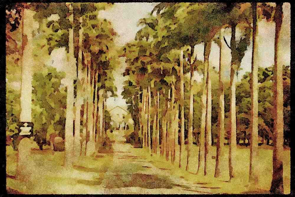 734063 Codnngton College, Barbados A4 Limited Edition Watercolour Print