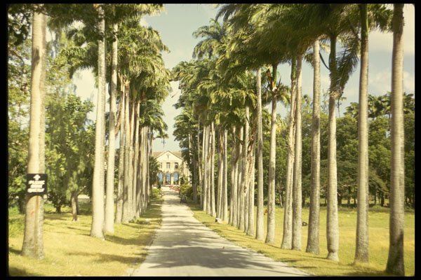 734063 Codnngton College, Barbados A4 Photo Print